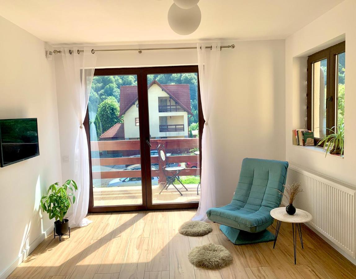 Holiday Home In 시나이아 외부 사진